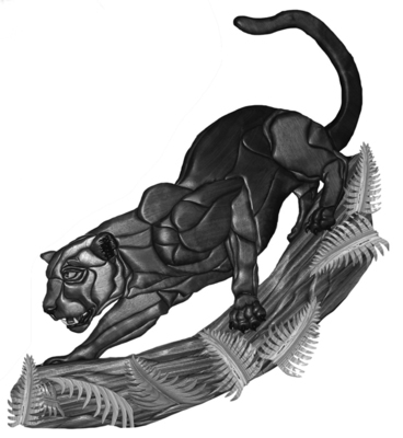 Black Leopard