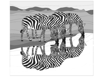 African Plaines Zebra
