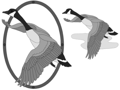 Canadian Goose w/oval frame