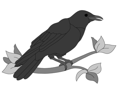 Crow