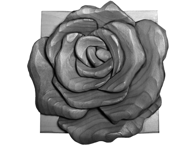 Beginner Rose