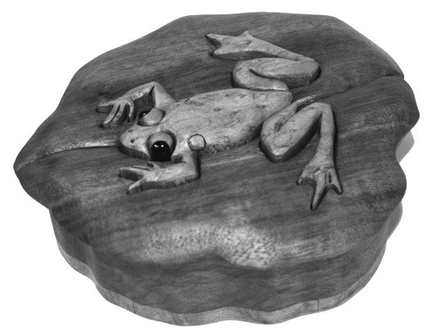 Frog Box