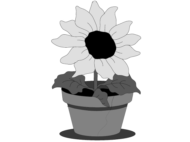 Sunflower Pot