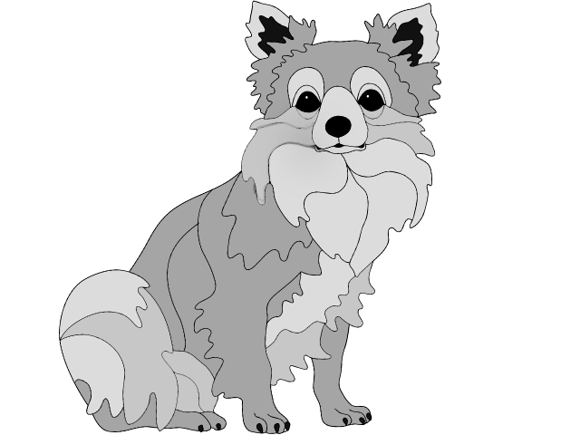 Chihuahua Sitting Long-haired