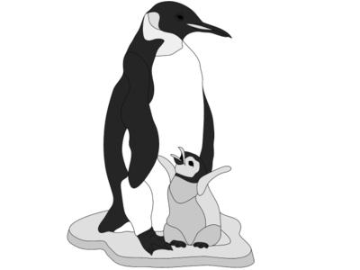 Emperor Penguin &amp; Chick