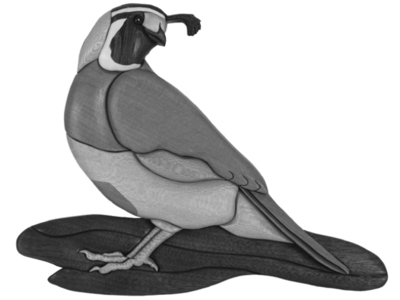 Quail