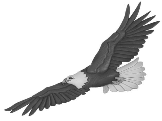 Flying Eagle