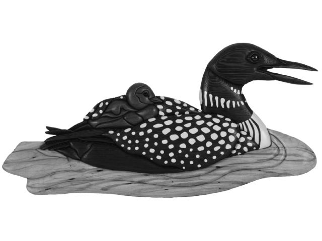 Loon &amp; Baby