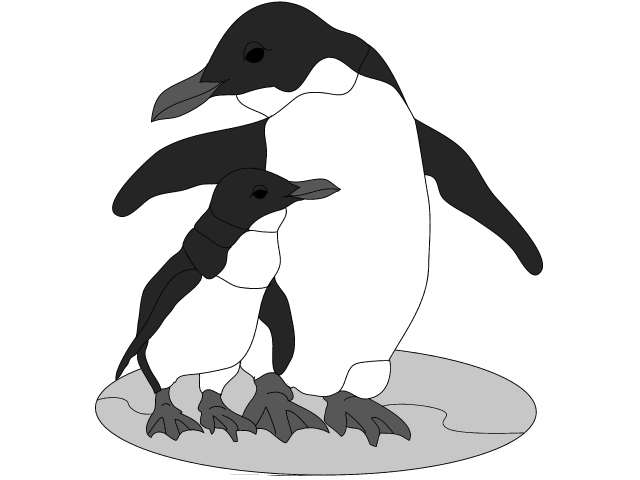 Penguin &amp; Chick