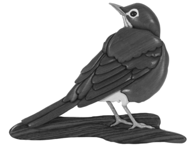 Robin