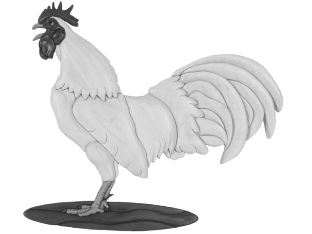 Rooster Crowing