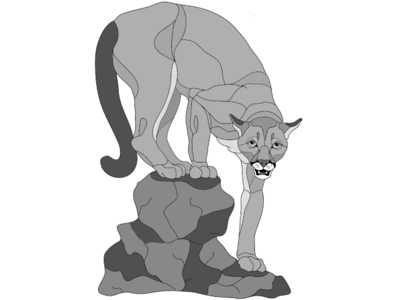 Mountain Lion