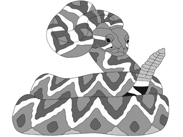 Rattlesnake