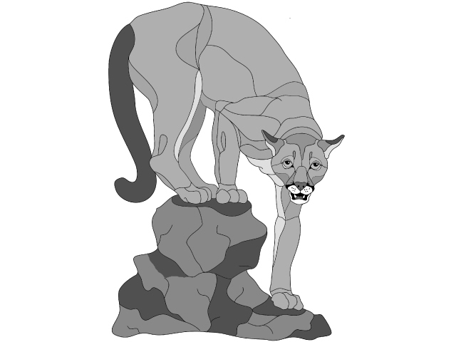 Mountain Lion