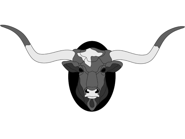 Texas Longhorn