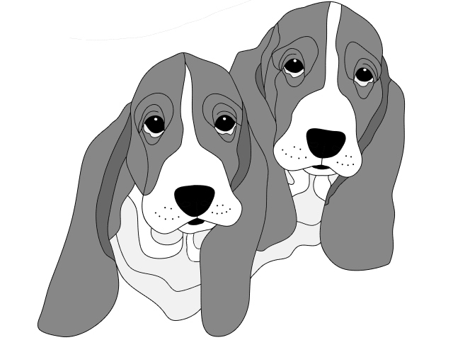 Bassset Hound Head