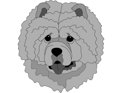 Chow Chow Head