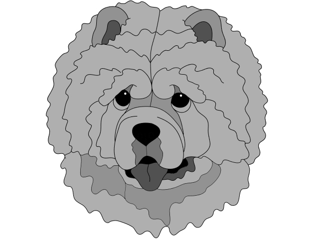 Chow Chow Head