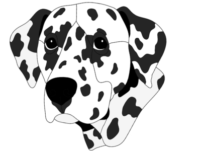 Dalmatian Head