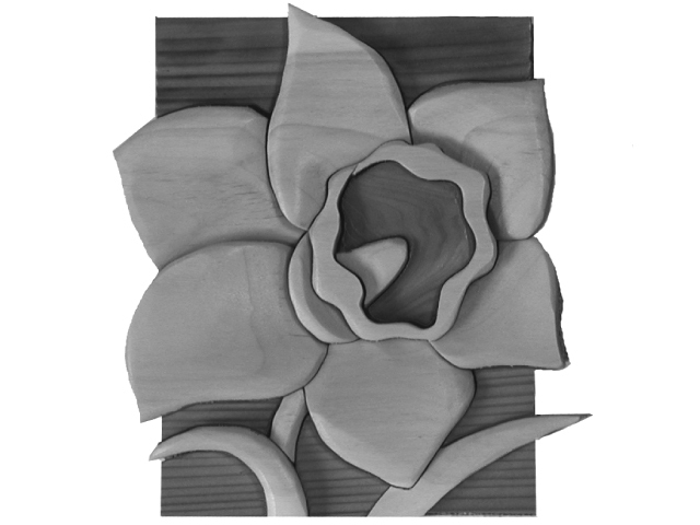 Beginner Daffodil
