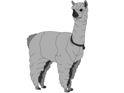 Alpaca Standing