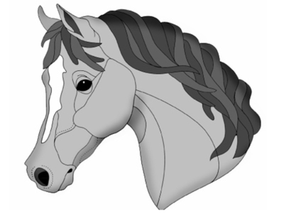 Bay Arab Head