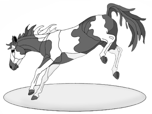 Bucking Paint