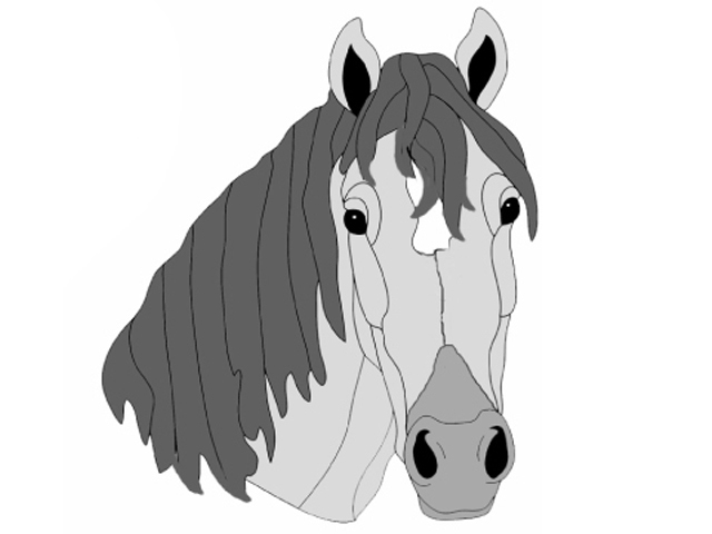 Buckskin Horse Head