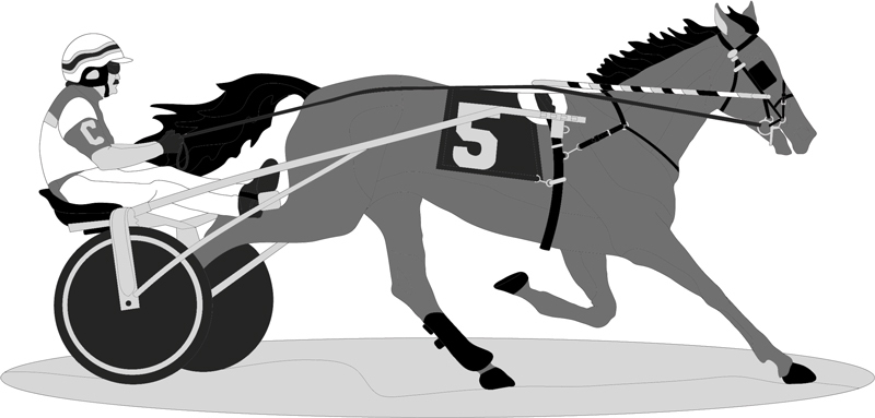 Harness Racer &amp; Horse