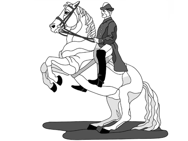 Lipizzaner