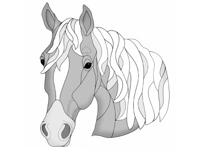 Palomino Horse Head