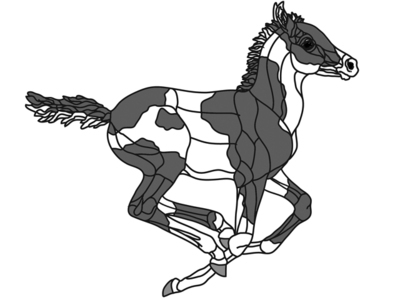 Running Paint Colt Oversized