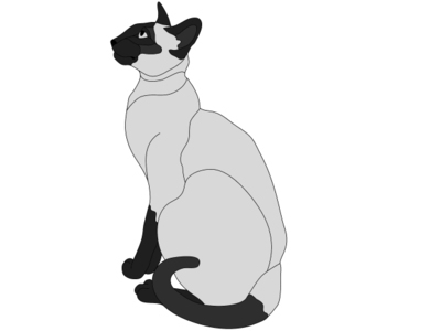 Siamese Cat Sitting
