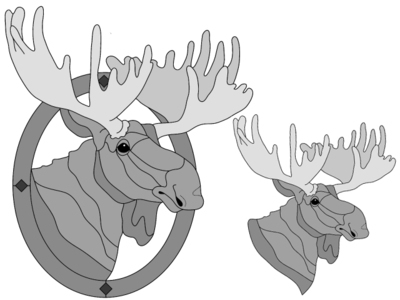 Moose Head