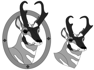 Pronghorn Head