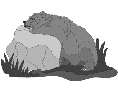 Sleeping Grizzly