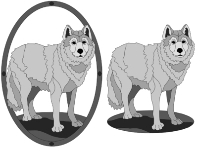 Wolf Standing w/oval frame