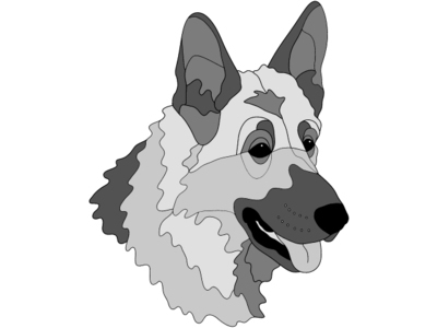 German Shepherd Head