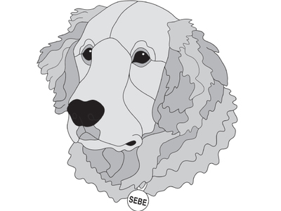 Golden Retriever #3