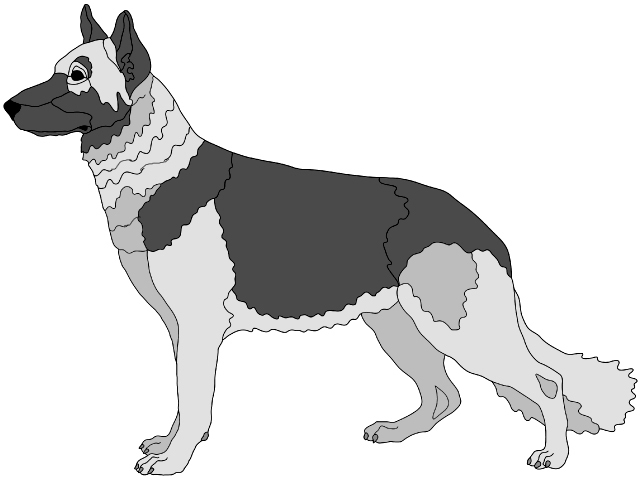 German Shepherd Standing