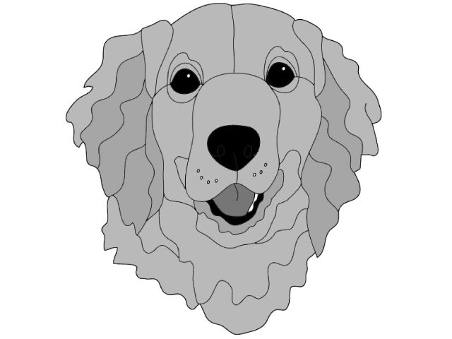 Golden Retriever #2