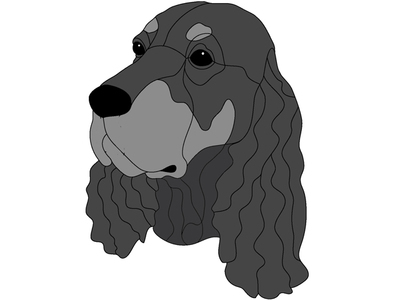 Gordon Setter
