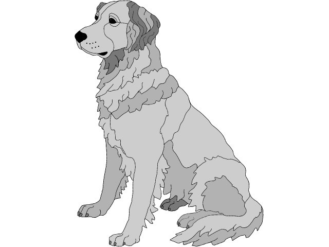 Golden Retriever Sitting