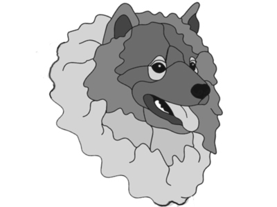 Keeshond Head