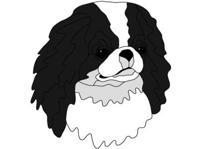Japanese Chin Head