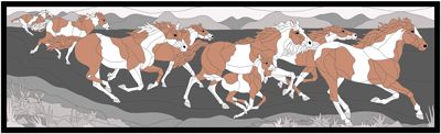 Wild Horses Expert 80 x 24