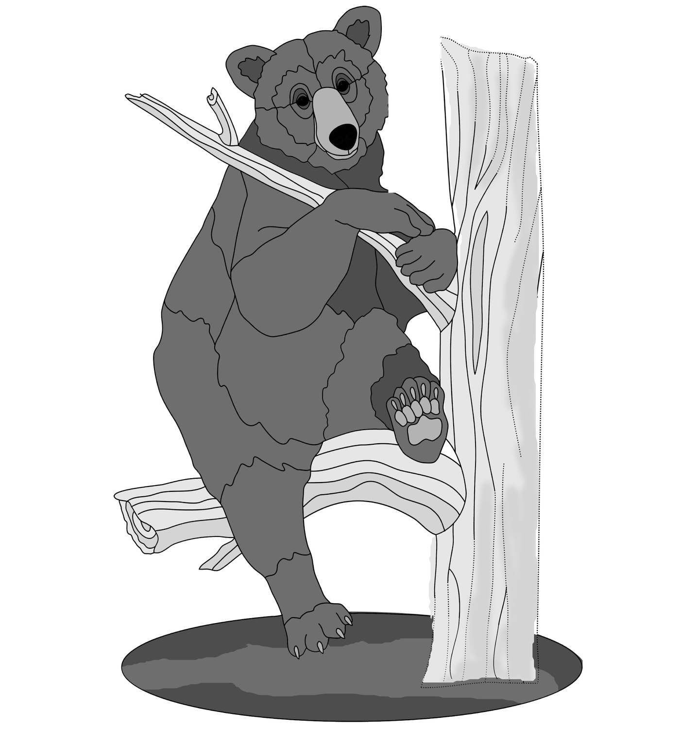 Bear in Tree