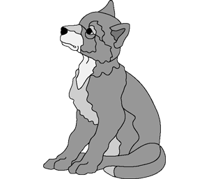 Wolf Pup