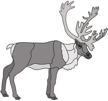 Standing Caribou