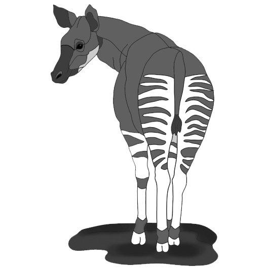 Okapi 2